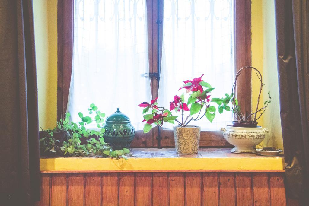 カンプロドン Casa Etxaldeゲストハウス エクステリア 写真